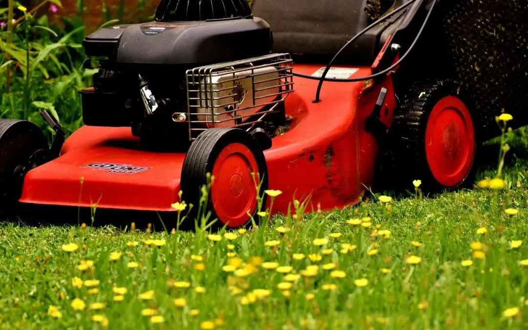 Summer Lawn Care Tips That Actually Work
