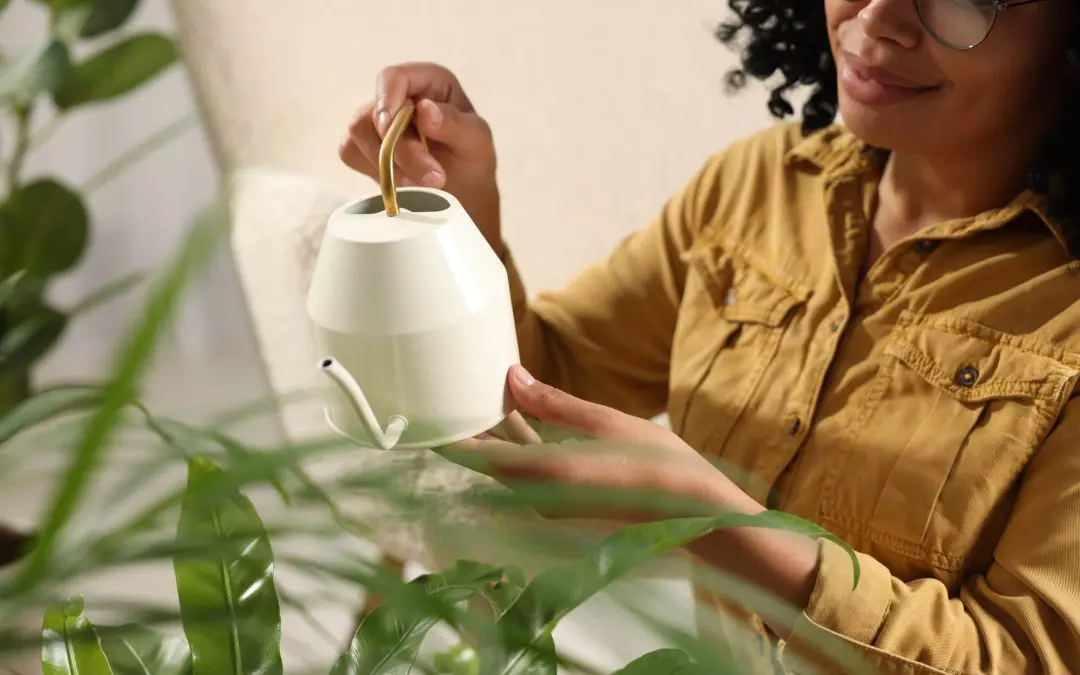 Common Houseplant Mistakes—and Easy Fixes