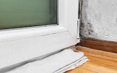 3 Ways to Prevent Mold in Your Home