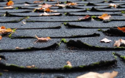 3 Signs You Need a New Roof